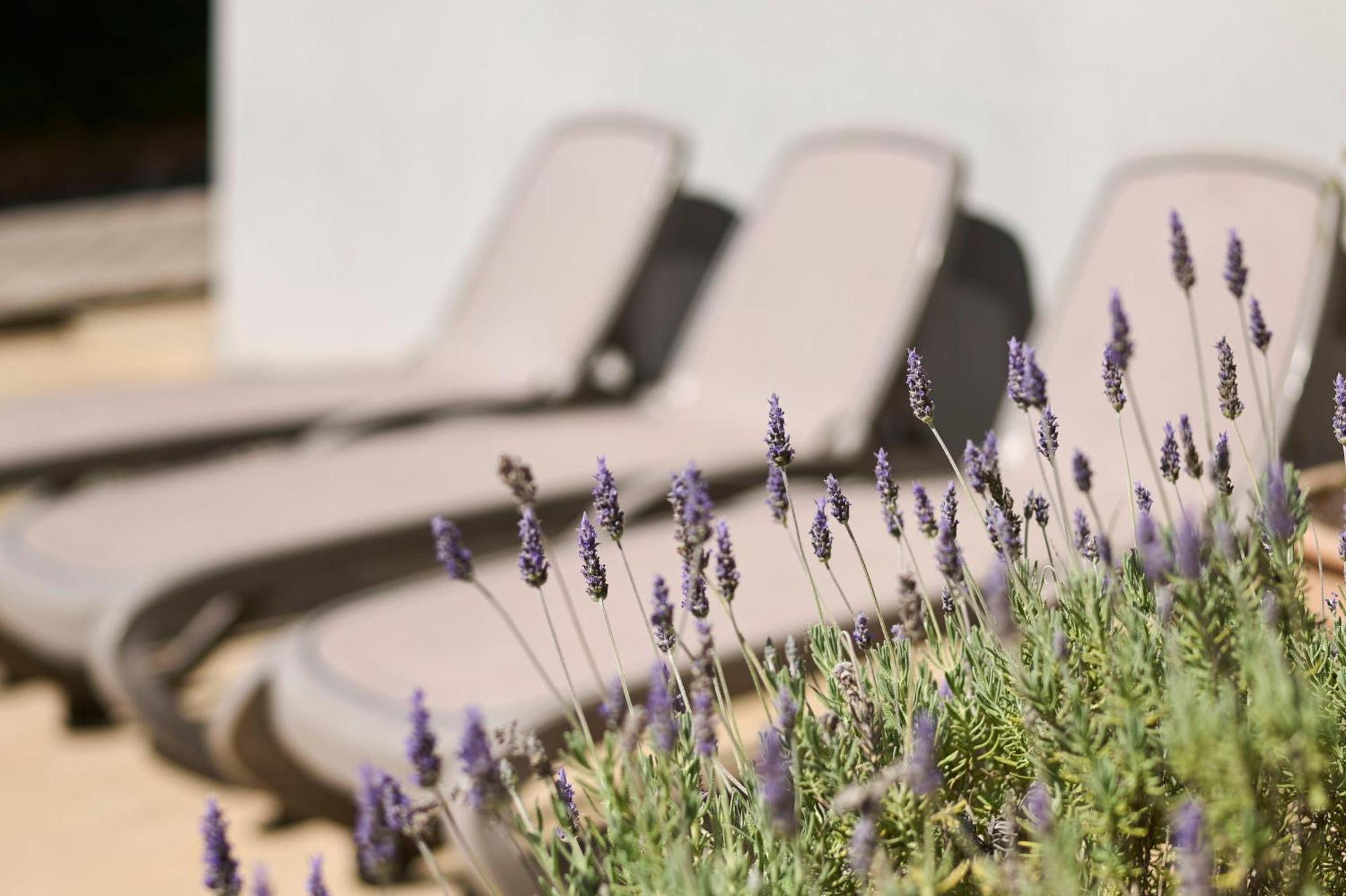 Apartments Martello Garden Porec Luaran gambar