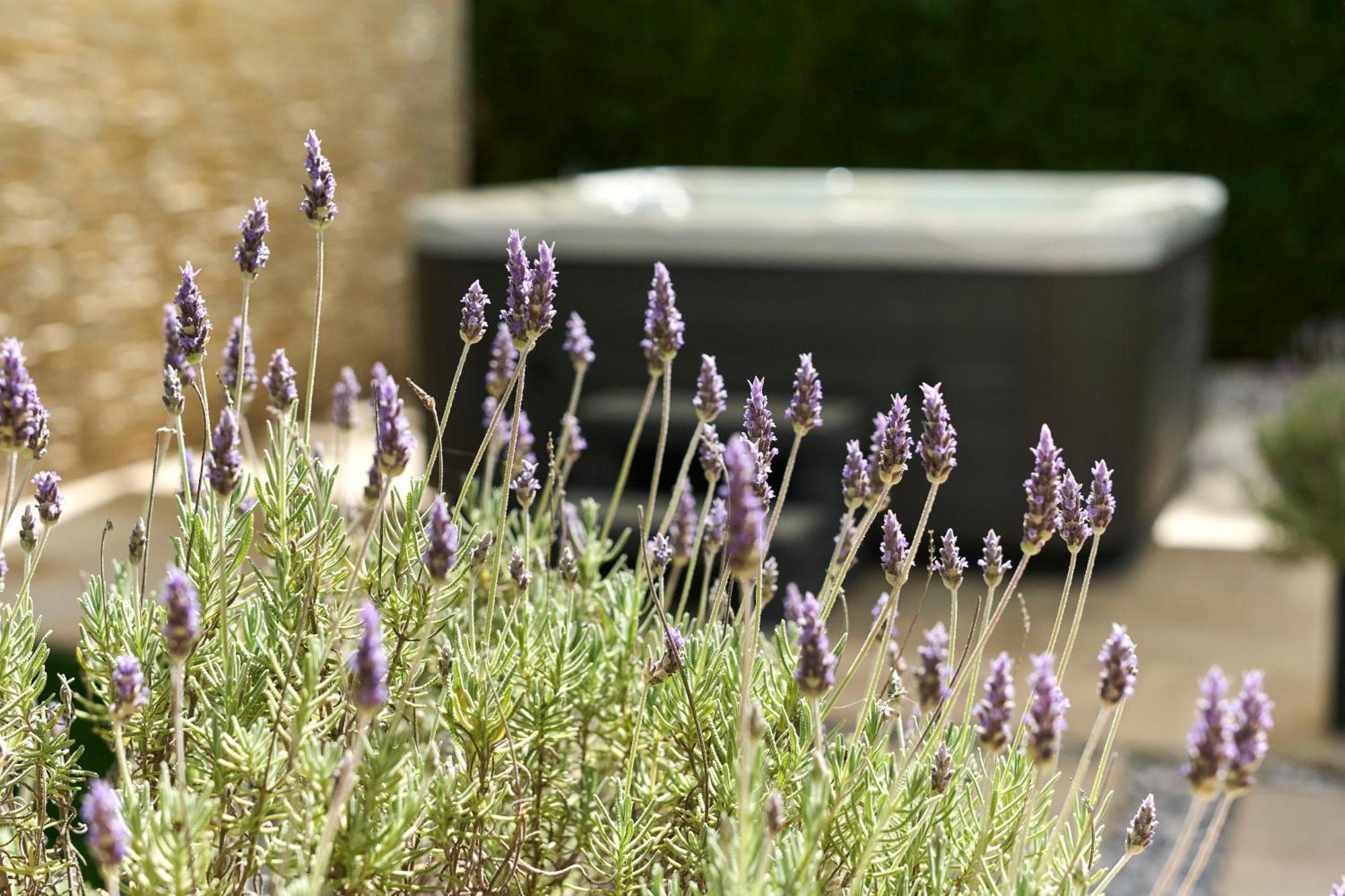 Apartments Martello Garden Porec Luaran gambar